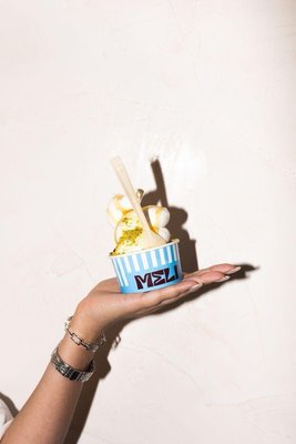 MELI Frozen Yogurt by null