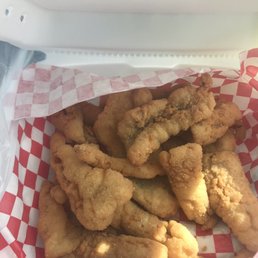 Cat Nuggets 1lb