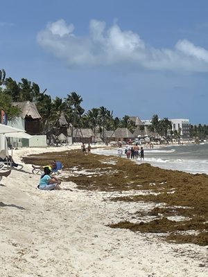 Mamita's Beach Club by null