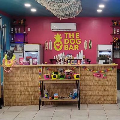 The Dog Bar by null