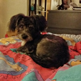 the bath house pet salon