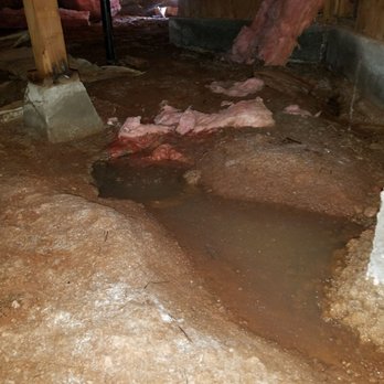 CalPro Inspection Group - Other side of that crack foundation - Pest Control Near Me - Loomis, California CalPro Inspection Group - Other side of that crack foundation - Pest Control Near Me - Loomis, California