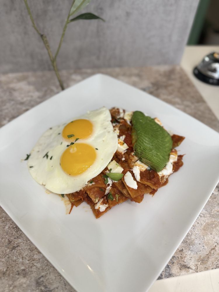 Oasis Fusion Kitchen
