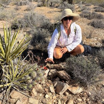 Desert Dream Outfitters - Hiking Near Me