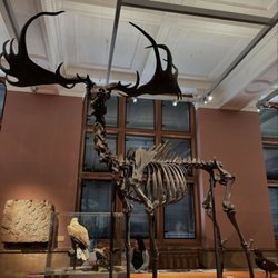 National Museum of Scotland