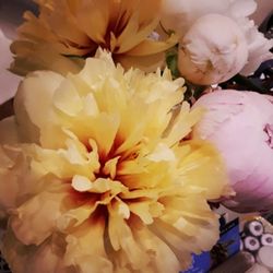 The Bloom Room Floral