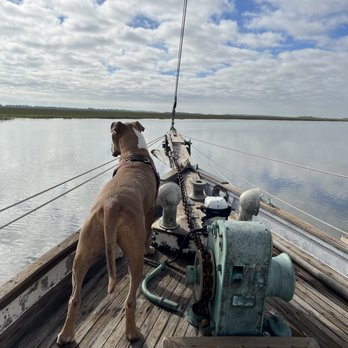 Old Coast Adventure - Boat Tours Near Me - Tybee Island, Georgia