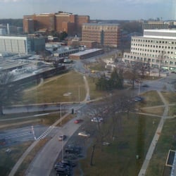 IMAGEJ NATIONAL INSTITUTES OF HEALTH BETHESDA MD visual data 8