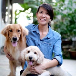 IronHorse VetCare