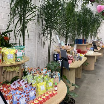 Terra Bella Nursery - Gifts for sale by the coffee house - Nurseries & Gardening Near Me - San Diego, California Terra Bella Nursery - Gifts for sale by the coffee house - Nurseries & Gardening Near Me - San Diego, California