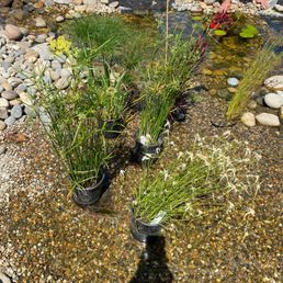 New additions to help with the reduction of water evaporation