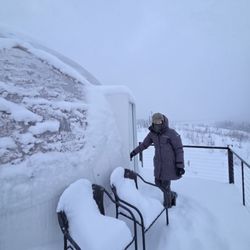 Alaska Element