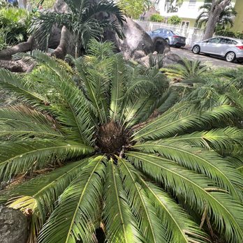Cuban Memorial Park - Parks Near Me - Miami, Florida