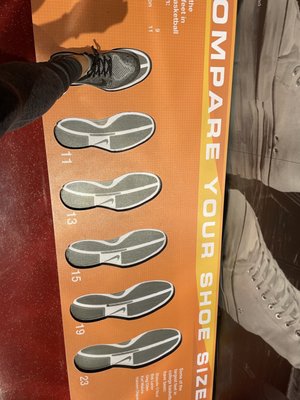 The College Basketball Experience by null