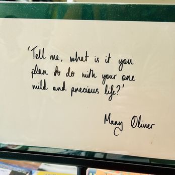 Hatchards - Bookstores Near Me - London, XGL Hatchards - Bookstores Near Me - London, XGL
