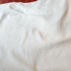 Inn At Highway 1 - A black curly hair on our bed sheets (my wife is blonde and I have very short hair)