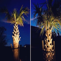 Mahogany Landscaping & Design