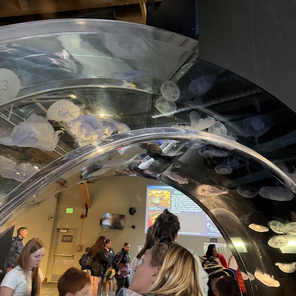 Seattle Aquarium - Aquariums Near Me - Seattle, Washington Seattle Aquarium - Aquariums Near Me - Seattle, Washington