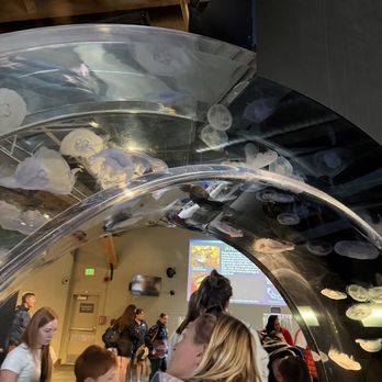 Seattle Aquarium - Aquariums Near Me - Seattle, Washington Seattle Aquarium - Aquariums Near Me - Seattle, Washington