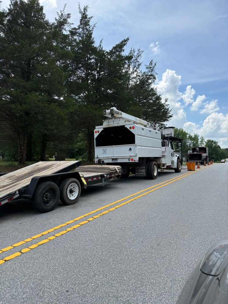 Tree Experts - tree service in Greensboro, NC