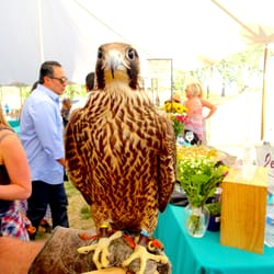 Earth Day Food & Wine Festival - Here is "Your Nose looks MIGHTY TASTY, as a Snack" Glare! :)