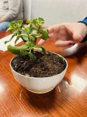 Manna Kitchen by null