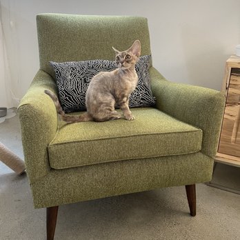 South Upholstery - Furniture Reupholstery Near Me - Mukilteo, Washington South Upholstery - Furniture Reupholstery Near Me - Mukilteo, Washington