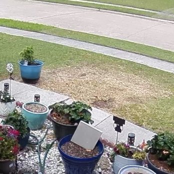 Arbor Pro Tree Service - Tree cut and stump completely ground flush with yard. - Tree Services Near Me Arbor Pro Tree Service - Tree cut and stump completely ground flush with yard. - Tree Services Near Me