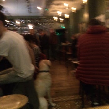 Preston - Dog friendly! - Pubs Near Me - Leeds, XWY