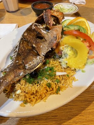 Azteca Mexican Restaurant by null