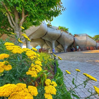Little Island - Parks Near Me - New York, New York Little Island - Parks Near Me - New York, New York