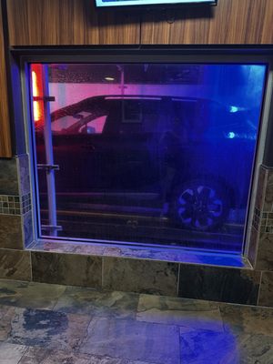 Octopus Car Wash by null