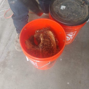 Affordable Bee Services - Pest Control Near Me - Riverside, California Affordable Bee Services - Pest Control Near Me - Riverside, California