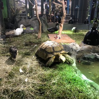 Austin Aquarium - Aquariums Near Me - Austin, Texas