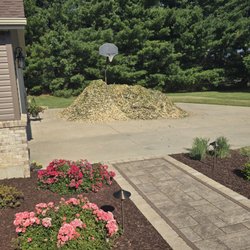 Meister Tree Care - Great price for a load of wood chips delivered!