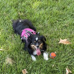 Biddle Regional Park
