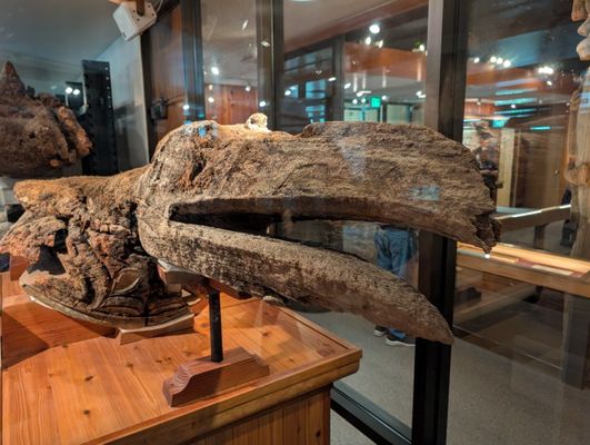 Totem Heritage Center by null