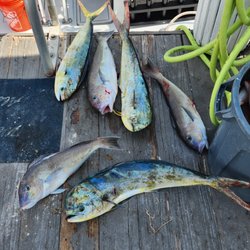 Captain Easy Charters