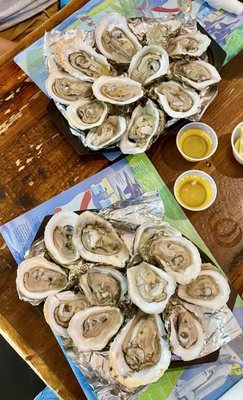 Seafood Kitchen by null