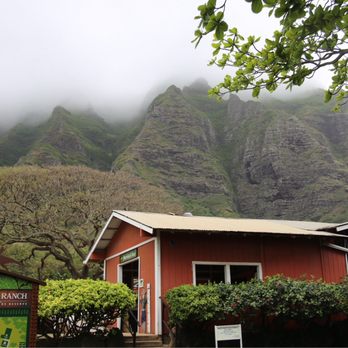 Kualoa Ranch - Tours Near Me - Kaneohe, Hawaii