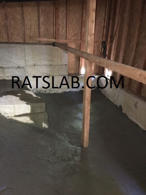 Slide of RatSlab Crawl Space Encapsulation & Waterproofing Services