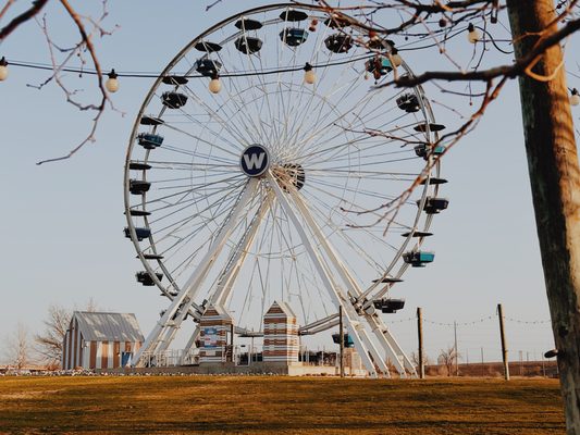 Wheeler Ferris Wheel at Wheeler District by null