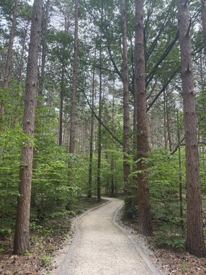 Rosy Mound Natural Area by null