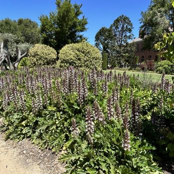 Filoli - Botanical garden - Botanical Gardens Near Me - Woodside, California Filoli - Botanical garden - Botanical Gardens Near Me - Woodside, California