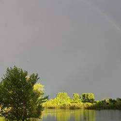 Crystal Springs RV Resort