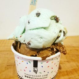 Mint Chocolate Chip Ice Cream
