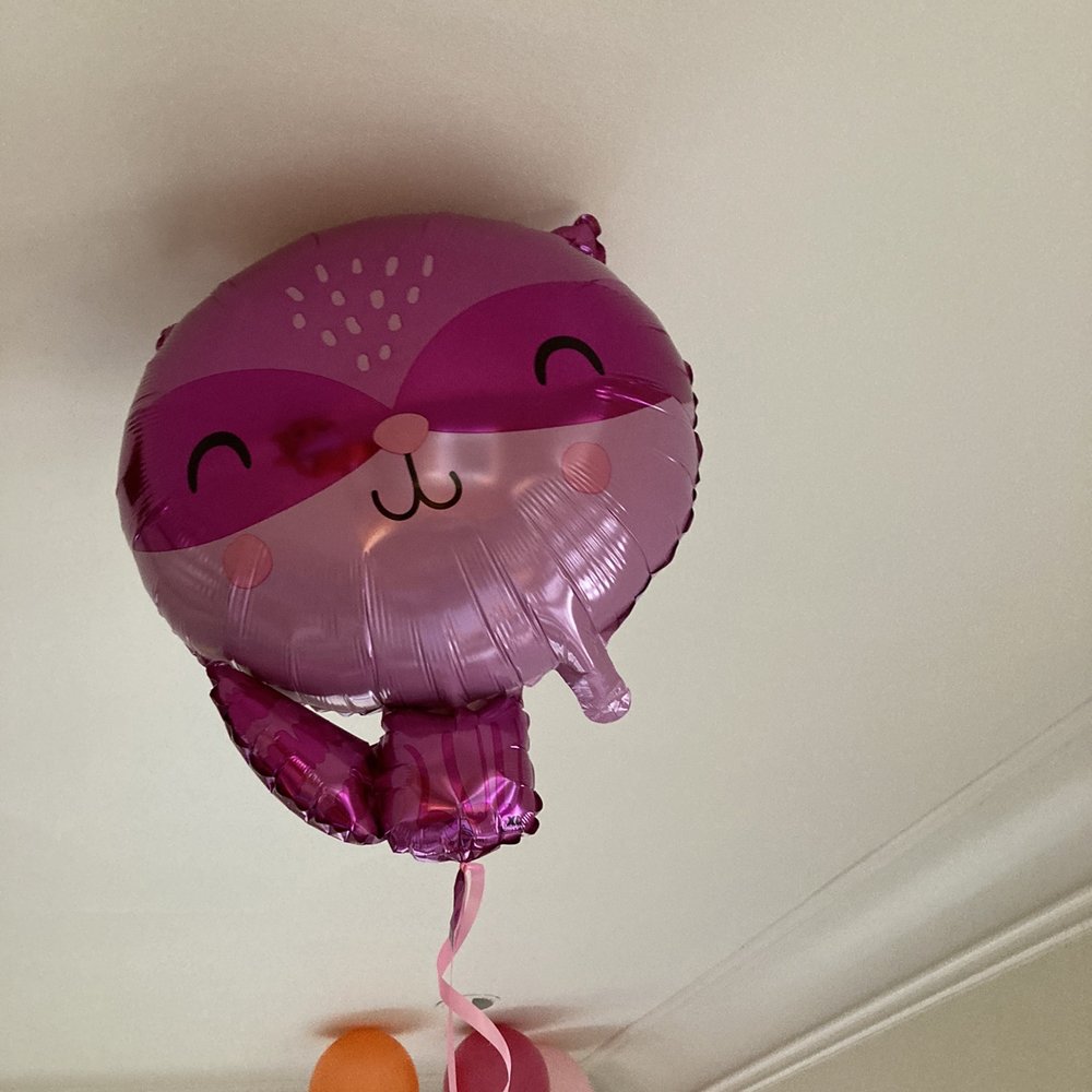 Fun Balloons! Fun Balloons!