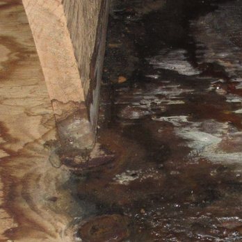 Mold Master Pro - Damage Restoration Near Me - Middletown, Connecticut