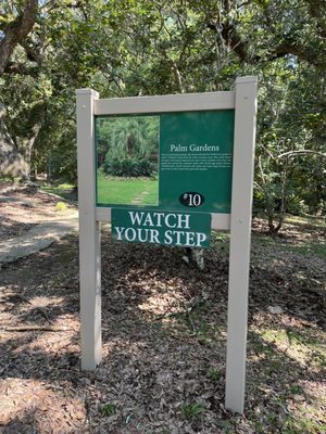 Jungle Gardens by null