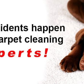Rapid Dry - Carpet Cleaning Near Me - Spring Valley, California